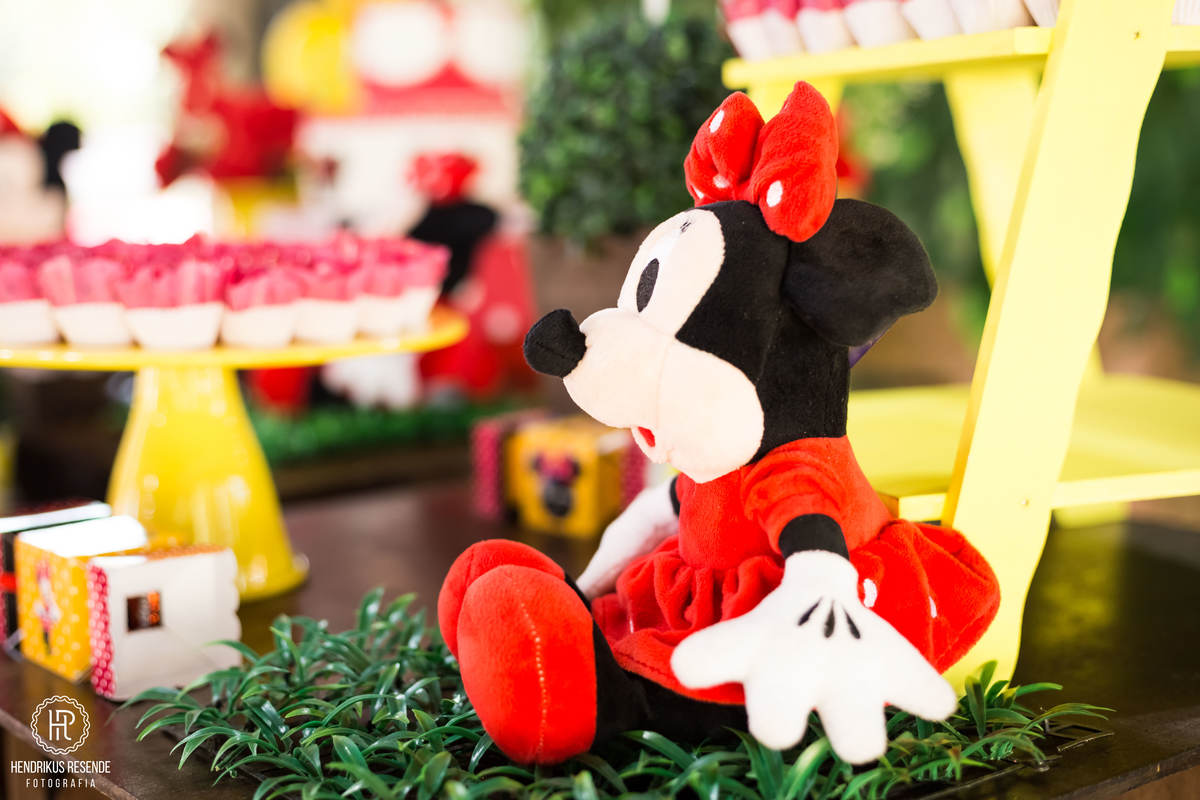 festa infantil, festa, criança, crianças, ponta grossa, paraná, pr, fotógrafo de famílias, fotógrafo, campos gerais