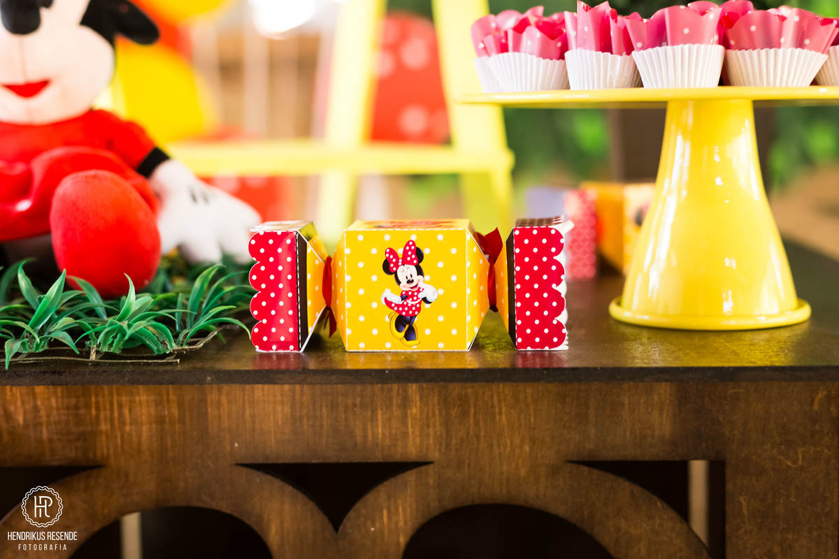 festa infantil, festa, criança, crianças, ponta grossa, paraná, pr, fotógrafo de famílias, fotógrafo, campos gerais