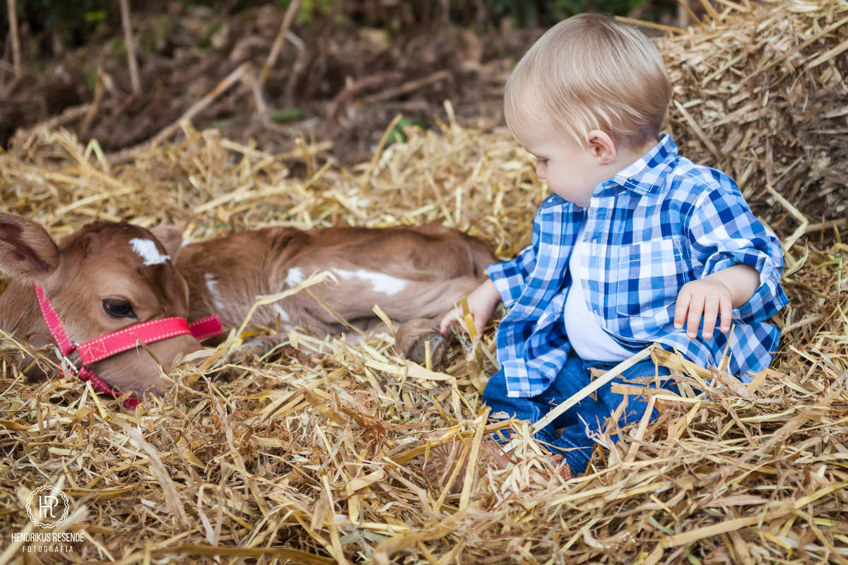 ensaio, infantil, crianças, ensaio 1 ano, fotografo de família, família, fotógrafo, hendrikus resende, campos gerais