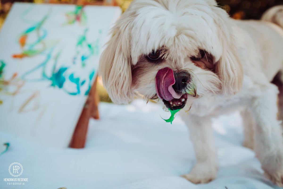 ensaio, infantil, crianças, ensaio 1 ano, fotografo de família, família, fotógrafo, hendrikus resende, campos gerais
