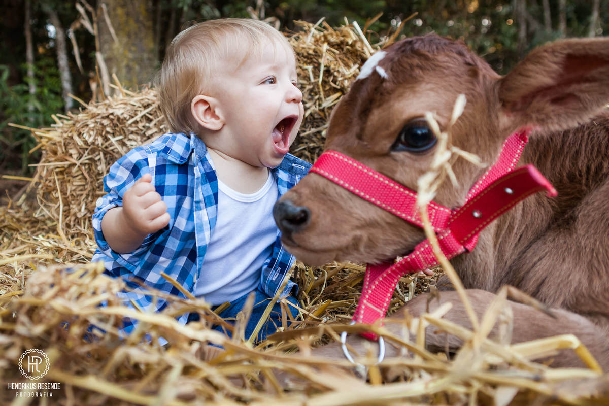 ensaio, infantil, crianças, ensaio 1 ano, fotografo de família, família, fotógrafo, hendrikus resende, campos gerais