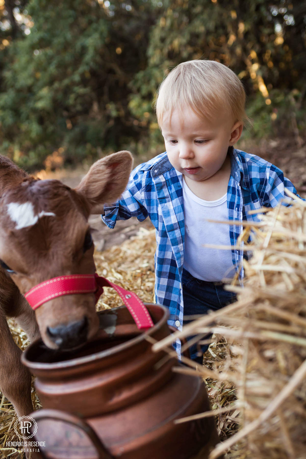ensaio, infantil, crianças, ensaio 1 ano, fotografo de família, família, fotógrafo, hendrikus resende, campos gerais