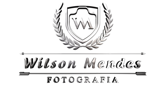 Logotipo de Wilson Soares Mendes