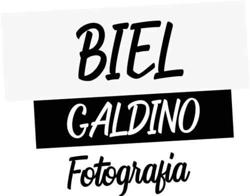 Logotipo de Gabriel Galdino