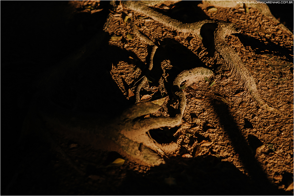 ensaio de casal em imbassai proximo a praia do forte e salvador na bahia, casal foi fotografado por murilo mascarenhas fotografo de casamento praia por do sol