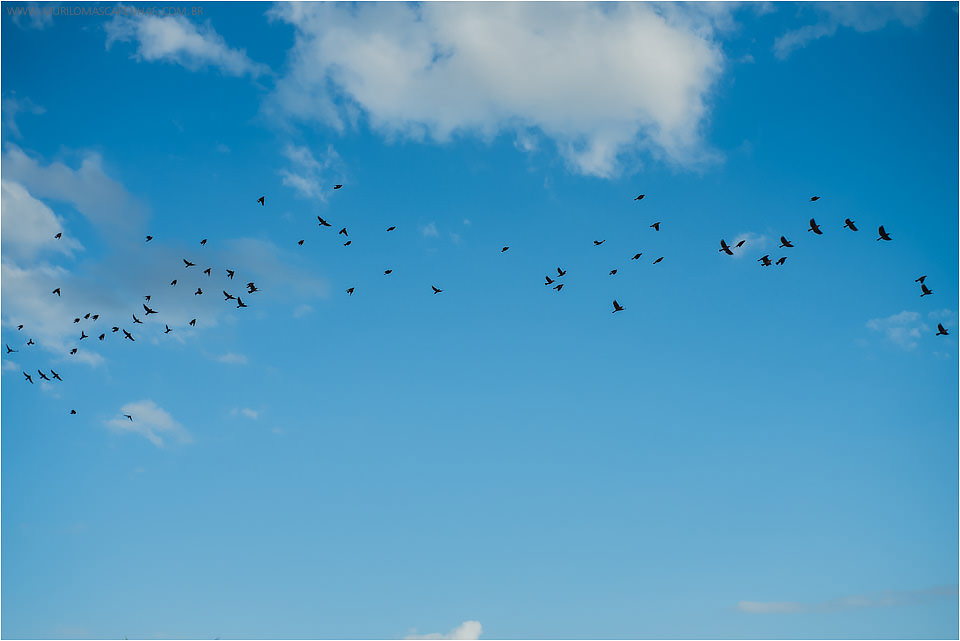 Casamento de Ohana e Thiago no sítio Campestre em Feira de Santana, Bahia. Casamento de dia, ao ar livre, com por do sol.