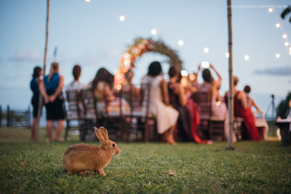 fotografia casamento decoração santo amaro salvador bahia baiano murilo mascarenhas flores praia noiva enseada do caeiro feira de santana aracaju making of madrinhas padrinhos cerimonia catolica noivo