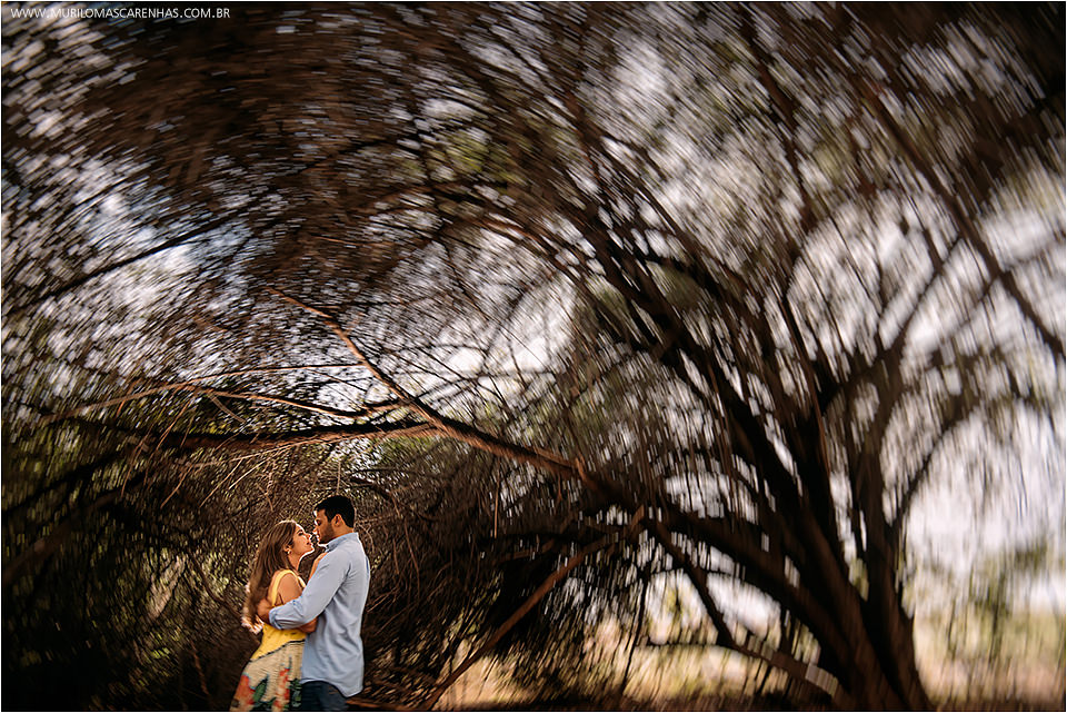 Ensaio Casal pre wedding book casamento cavalo rural divertido brunna e paulo feira de santana salvador bahia fotografado fotografo murilo mascarenhas rebeca rodrigues