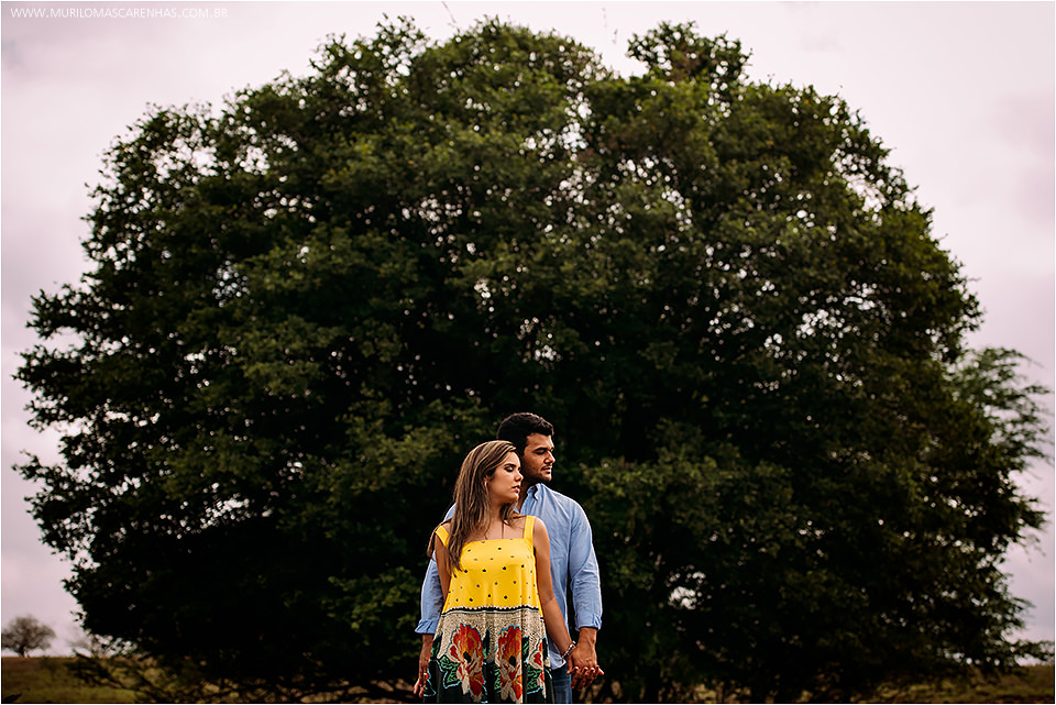 Ensaio Casal pre wedding book casamento cavalo rural divertido brunna e paulo feira de santana salvador bahia fotografado fotografo murilo mascarenhas rebeca rodrigues