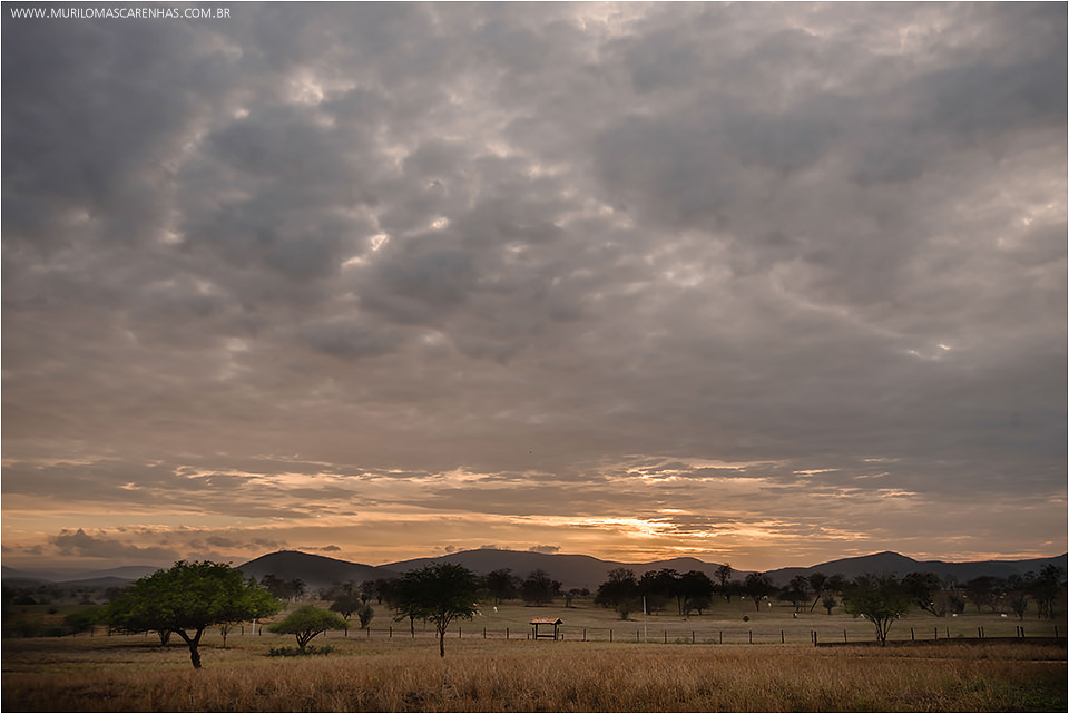 Ensaio Casal pre wedding book casamento cavalo rural divertido brunna e paulo feira de santana salvador bahia fotografado fotografo murilo mascarenhas rebeca rodrigues
