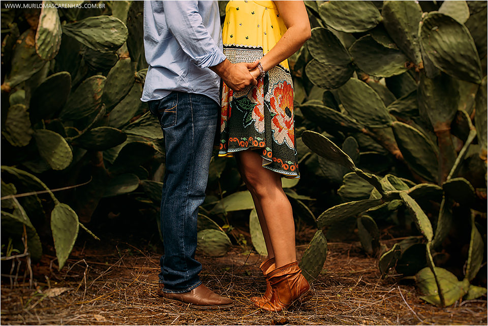 Ensaio Casal pre wedding book casamento cavalo rural divertido brunna e paulo feira de santana salvador bahia fotografado fotografo murilo mascarenhas rebeca rodrigues