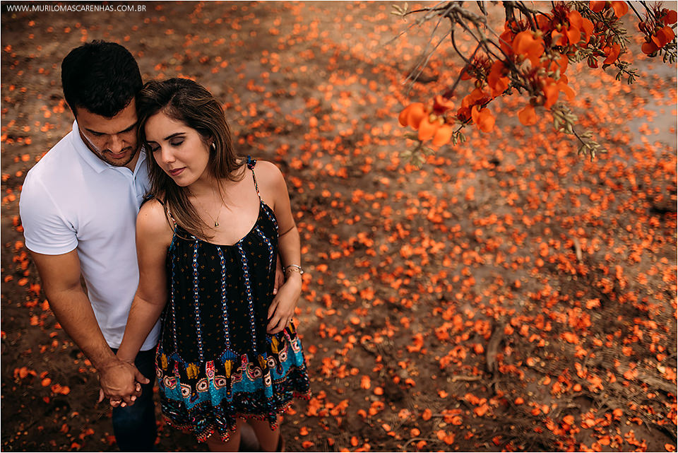 Ensaio Casal pre wedding book casamento cavalo rural divertido brunna e paulo feira de santana salvador bahia fotografado fotografo murilo mascarenhas rebeca rodrigues