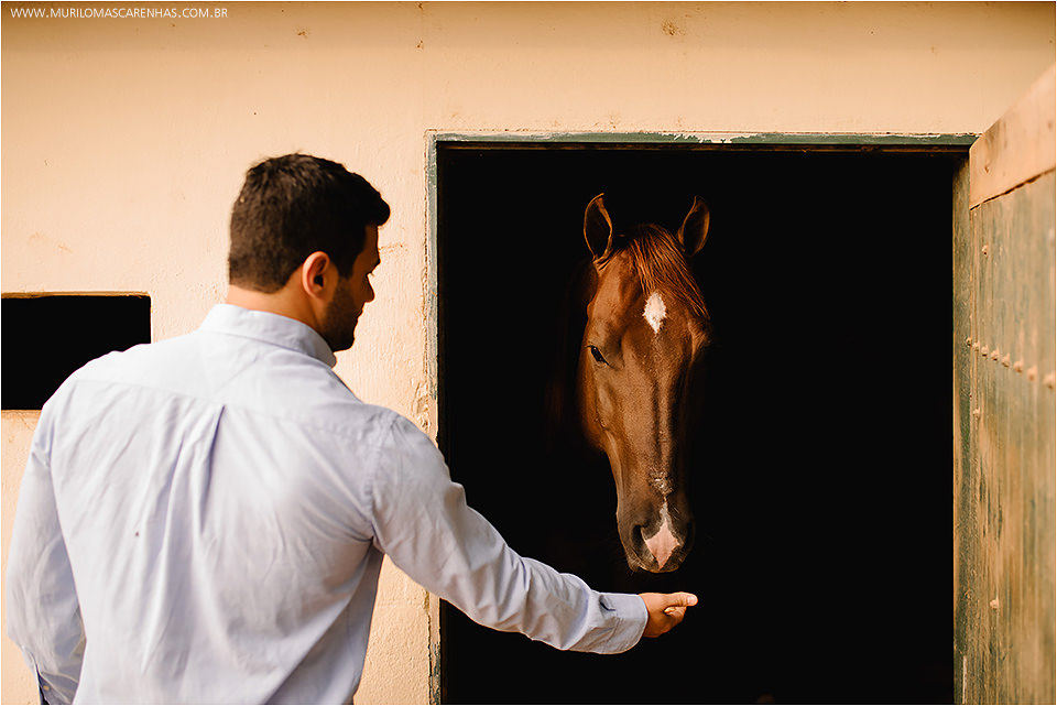 Ensaio Casal pre wedding book casamento cavalo rural divertido brunna e paulo feira de santana salvador bahia fotografado fotografo murilo mascarenhas rebeca rodrigues