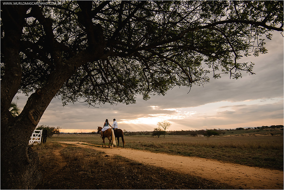 Ensaio Casal pre wedding book casamento cavalo rural divertido brunna e paulo feira de santana salvador bahia fotografado fotografo murilo mascarenhas rebeca rodrigues
