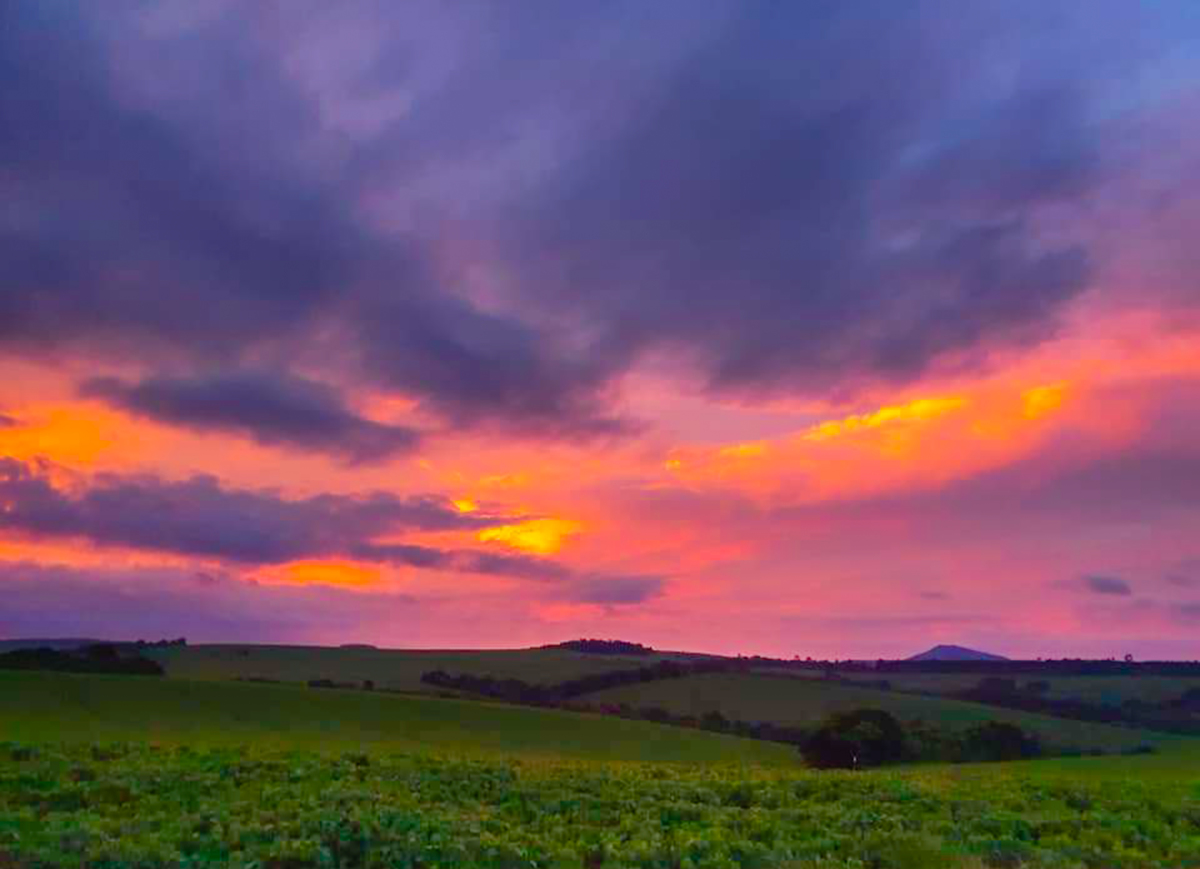 Paisagem Fazenda Voinho - Arapoti - Pr