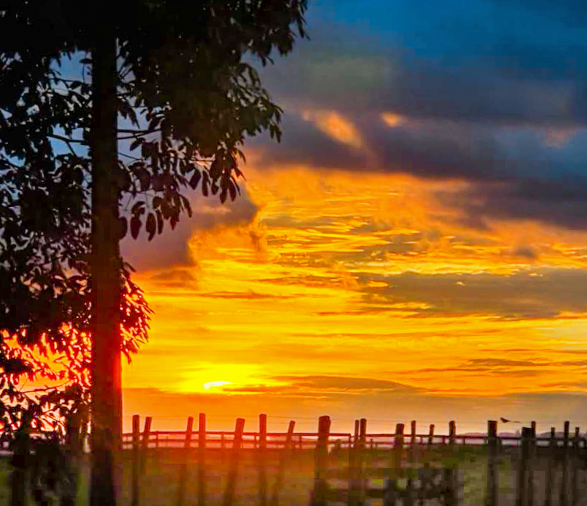 Pôr do Sol - Fazenda Voinho - Arapoti - Pr