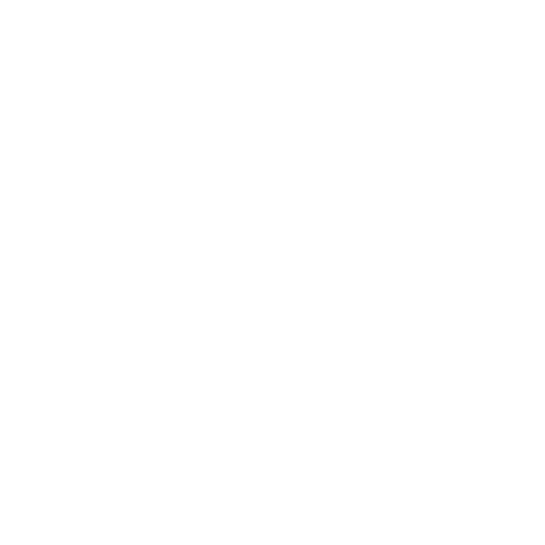 Logotipo de Diana Carla da Cruz Silva