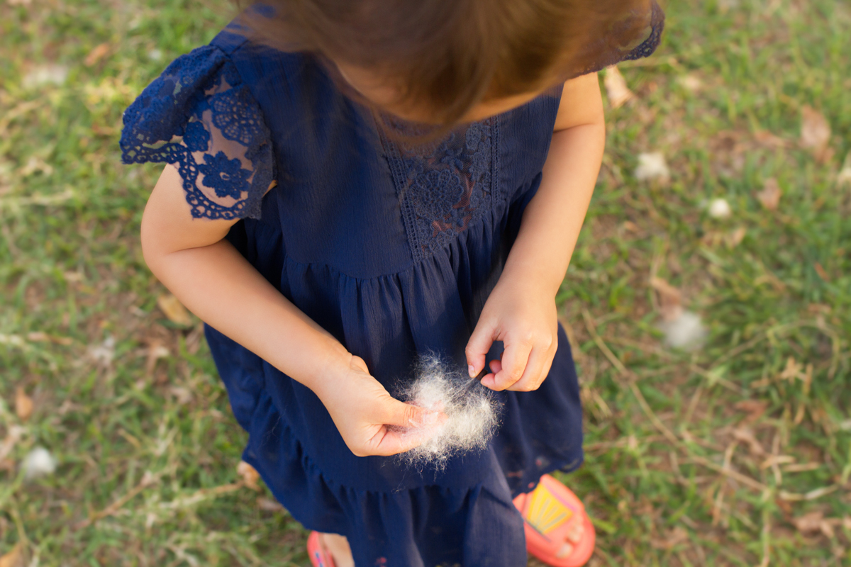 A Rafa brinca com um floquinho de algodão que caiu da árvore