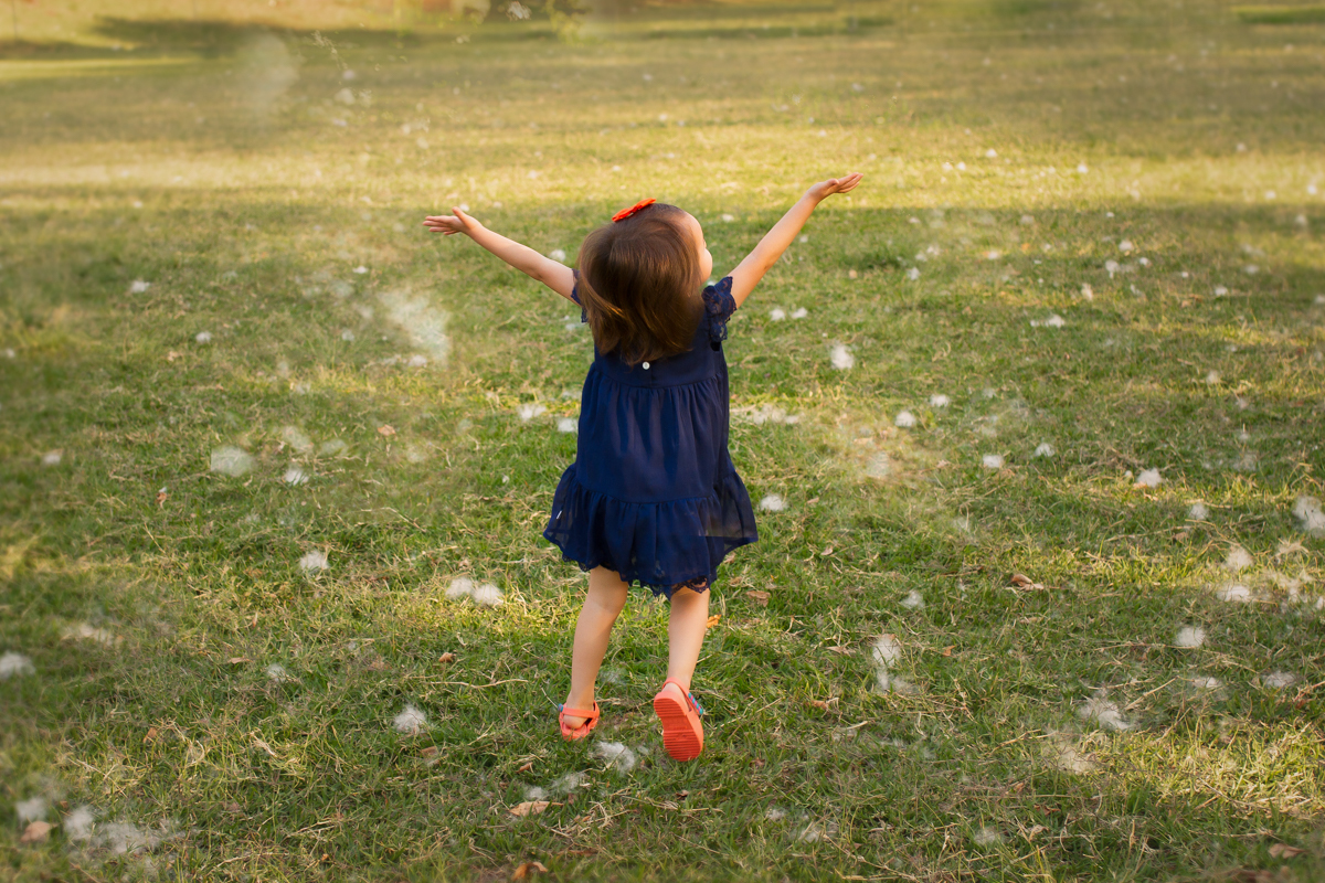 sessao pre aniversario maringa