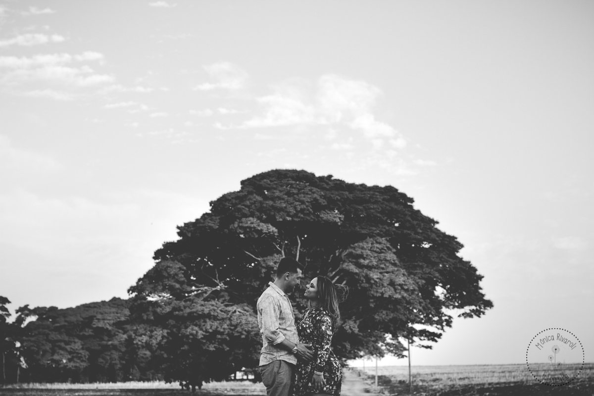 Uma fotografia preto e branco da Thais e seu esposo na árvore robusta