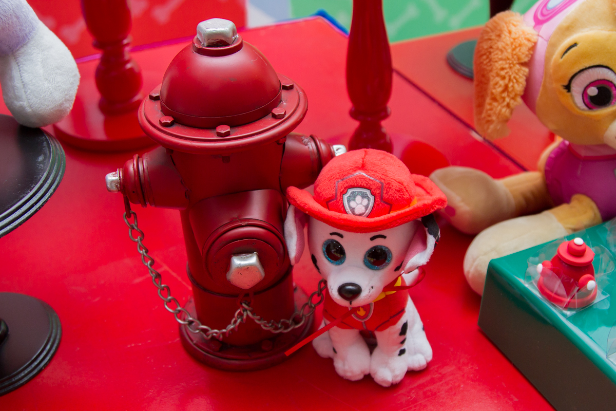 Close no cachorrinho bombeiro