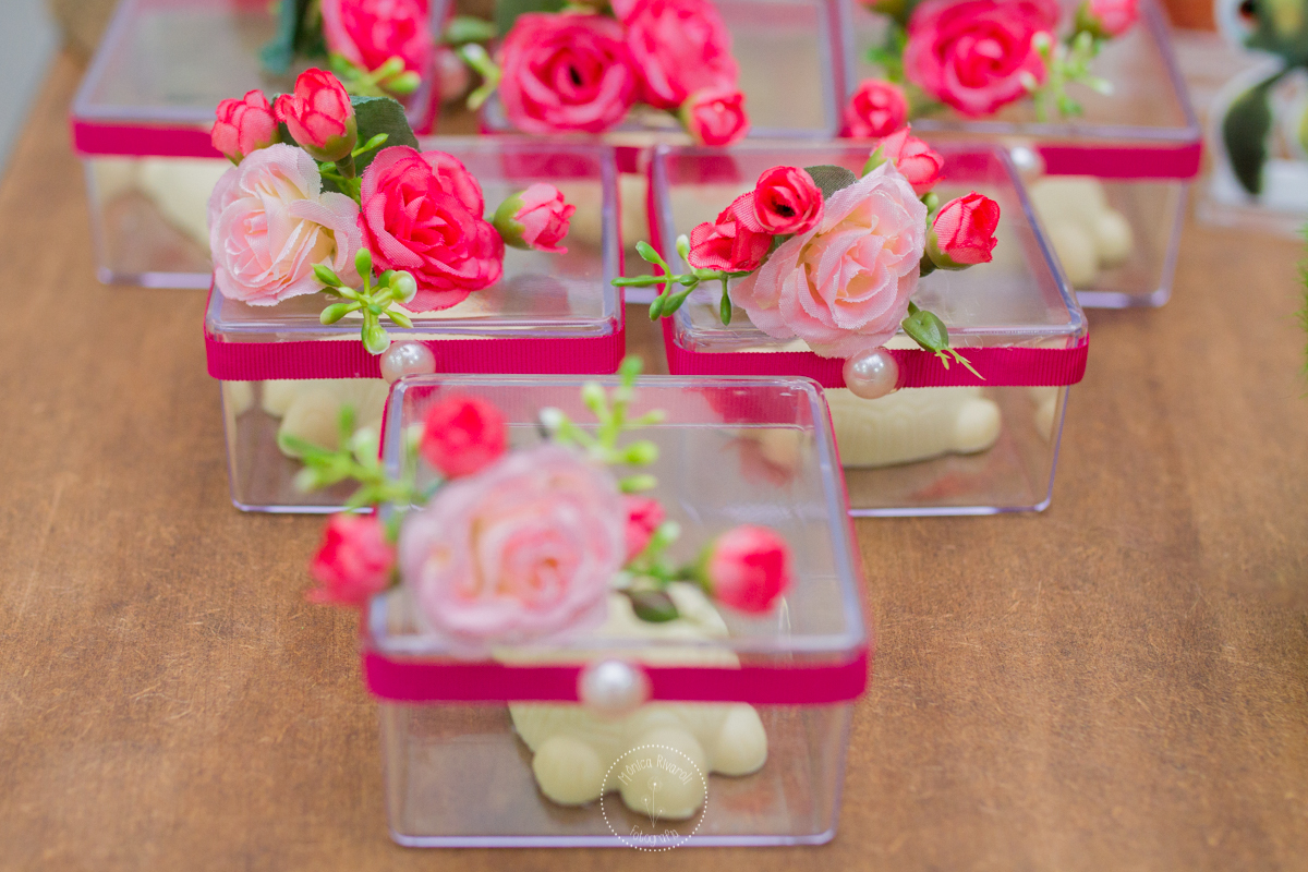 Tortuguita dentro dos potinhos transparentes 