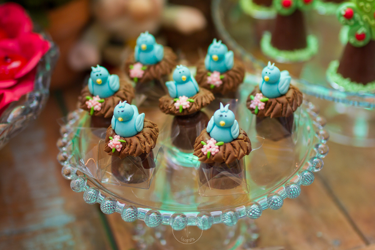 Close no docinho de pássaros sobre o ninho, em um aparador de vidro