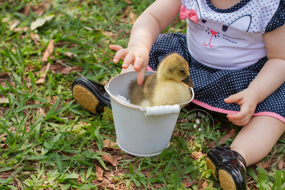 fotos-crianças-maringa