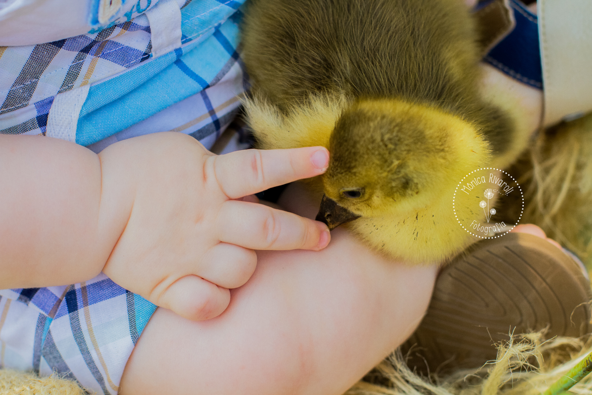 sessao-fotos-bebe-maringa