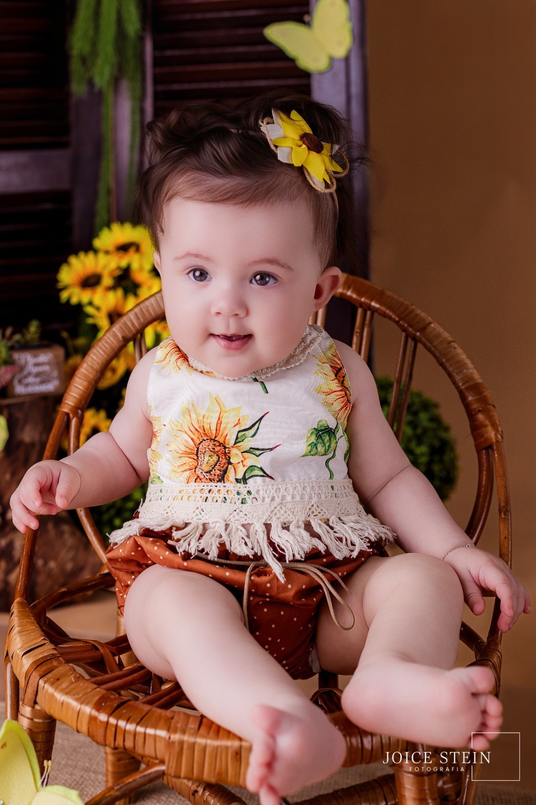 acompanhamento de bebe 