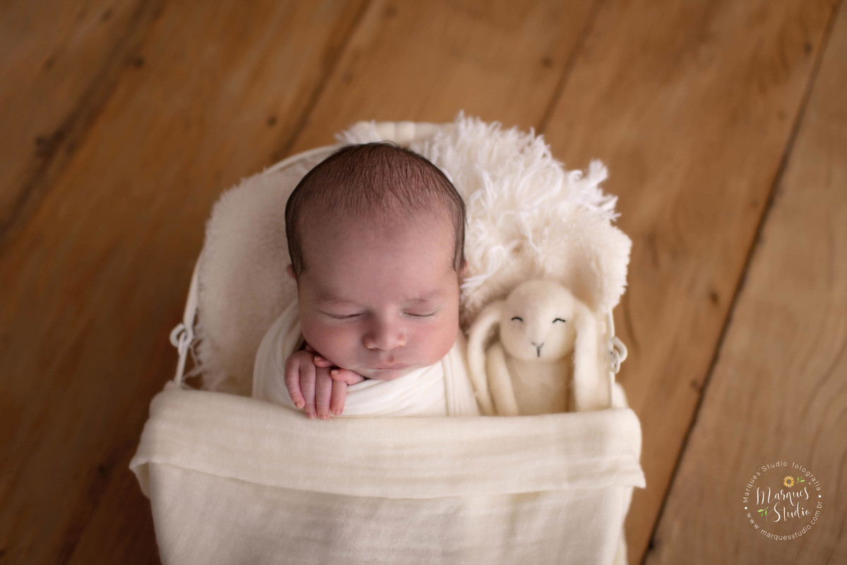 Ensaio newborn feito no nosso studio em Osasco, São Paulo, SP. Bebê no wrap, de barriga pra cima e com bichinho do lado. No fundo fotográfico de madeira.