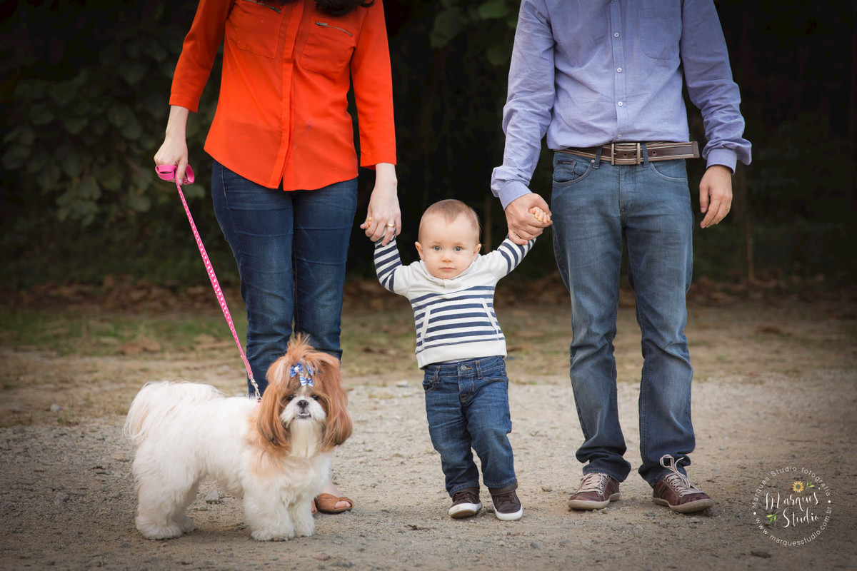 foto de uma linda família em seu ensaio fotográfico, a mamãe o papai o bebê e a linda cachorrinha da família estão caminhando em um lindo parque, localizado na zona Oeste de São Paulo, SP. Esse ensaio fotográfico foi feito para o sessão de smash the cake.