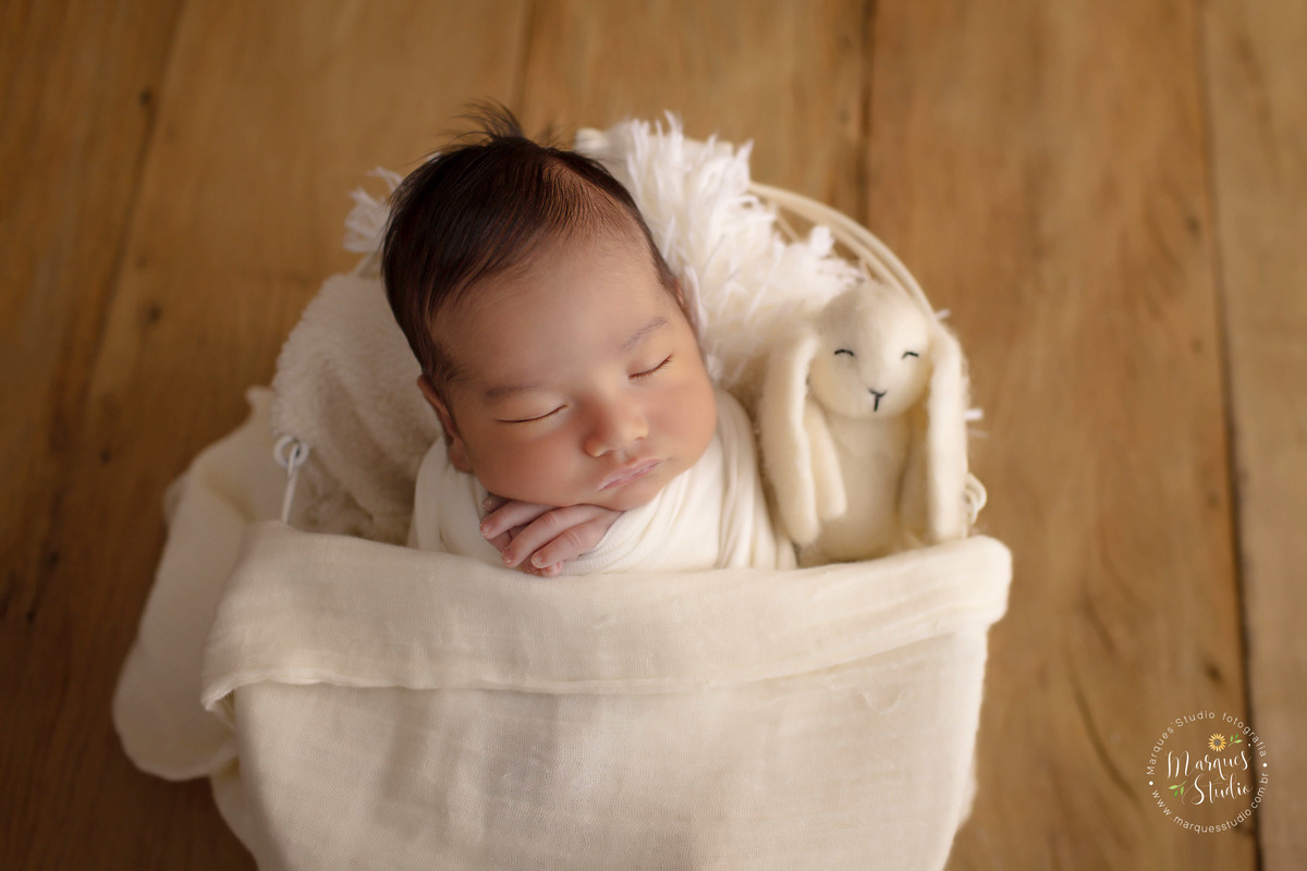 Ensaio newborn feito no nosso studio na Vila Leopoldina, São Paulo, SP. Bebê no wrap, de barriga pra cima e com bichinho de pelucia ao seu lado, ele está deitado em um lindo berço na cor branca.