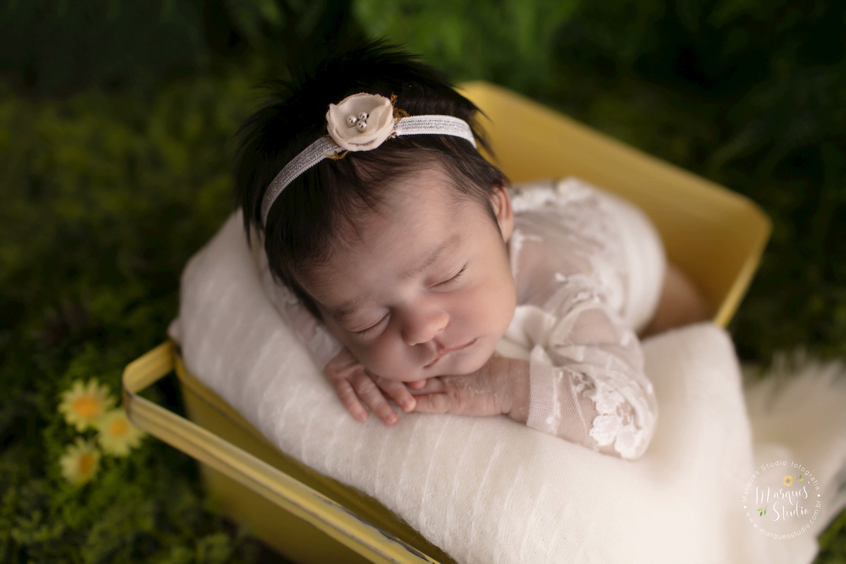 Fotografia de bebê no jardim realizado no nosso studio fotográfico na zona Oeste Osasco, São Paulo, SP, a recém-nascida está dentro de um cesto amarelo com uma linda manta bege, ela está dormindo e usando um lindo macacão branco com renda.