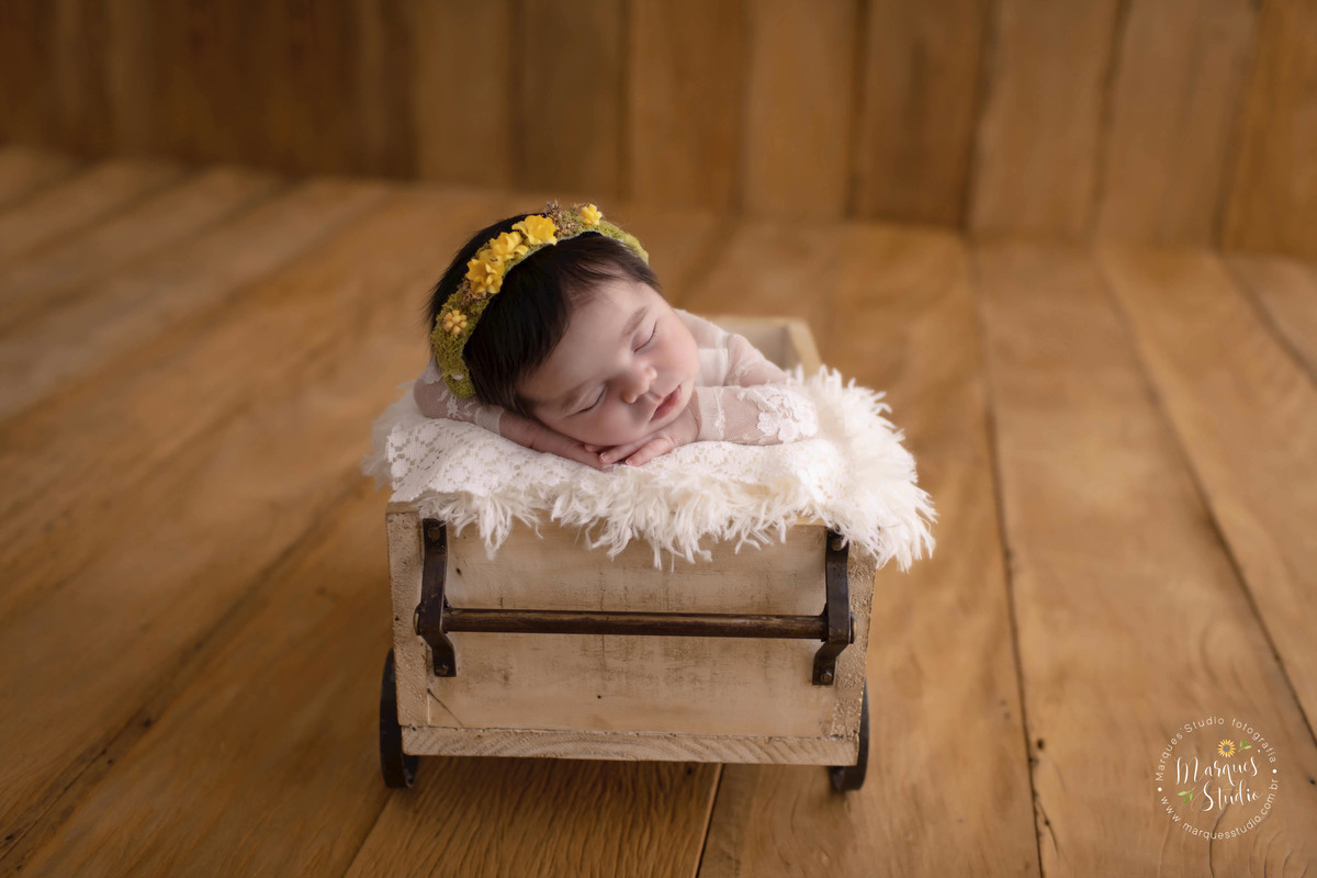 Fotografia da bebê em vagãozinho, em um fundo fotográfico de madeira. Foto feita em Estúdio na zona Sul de São Paulo - SP, ela está dormindo, ela usa um macacão branco com renda e uma linda coroa de flores amarelas na cabeça. 