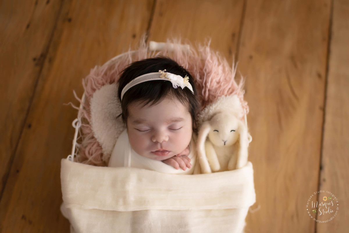 Ensaio newborn feito no nosso studio na zona Oeste Osasco, São Paulo, SP. Bebê no wrap, de barriga pra cima e com bichinho de pelúcia ao seu lado, ela está deitada em um lindo berço na cor branca, em um fundo fotográfico de madeira.