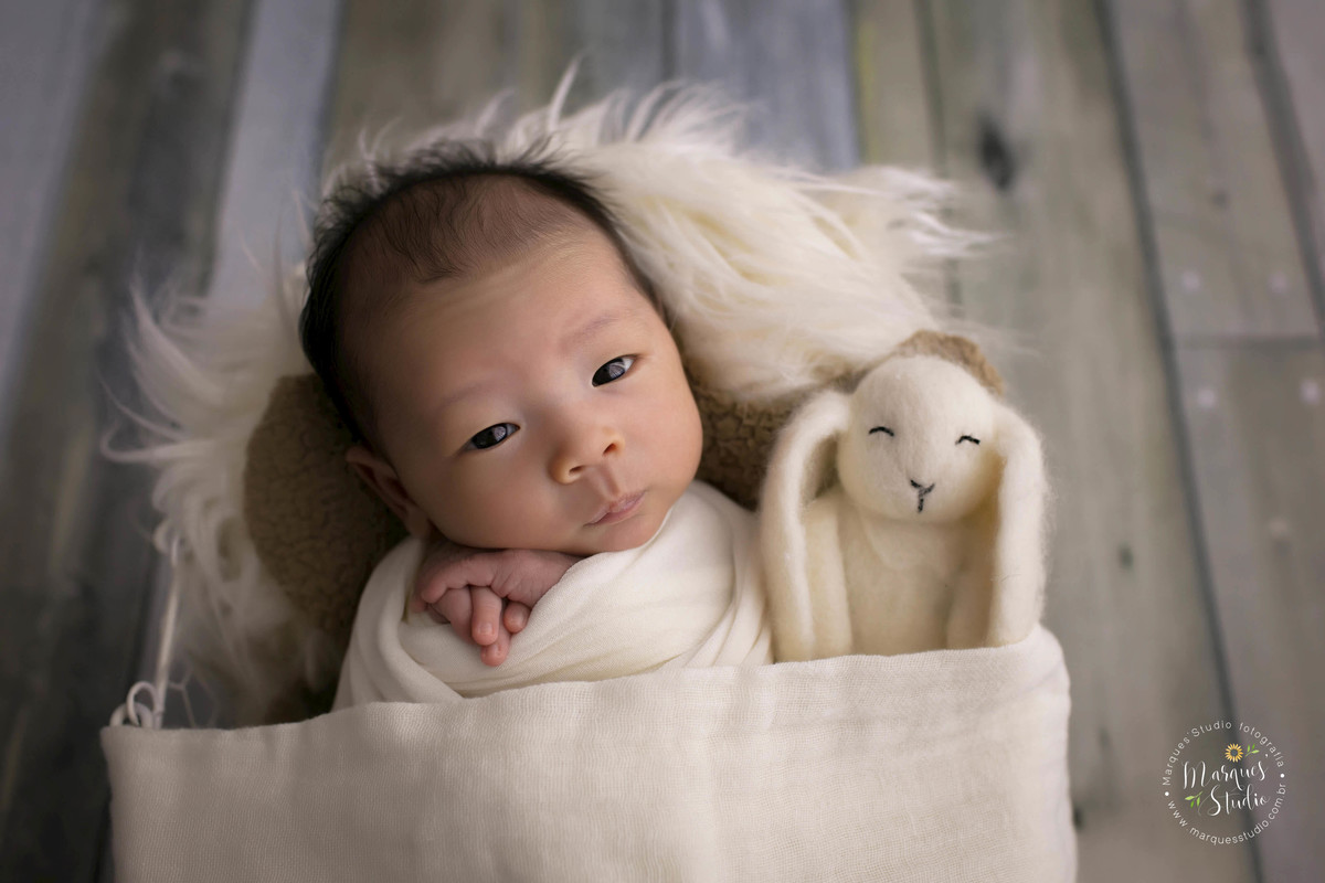 Ensaio Newborn feito no studio na Vila Madalena, São Paulo, SP. Bebê no wrap, de barriga pra cima e com bichinho de pelúcia ao seu lado, ele está deitado em um lindo berço na cor branca, em um fundo fotográfico de madeira. Ele está com os olhinhos abertos