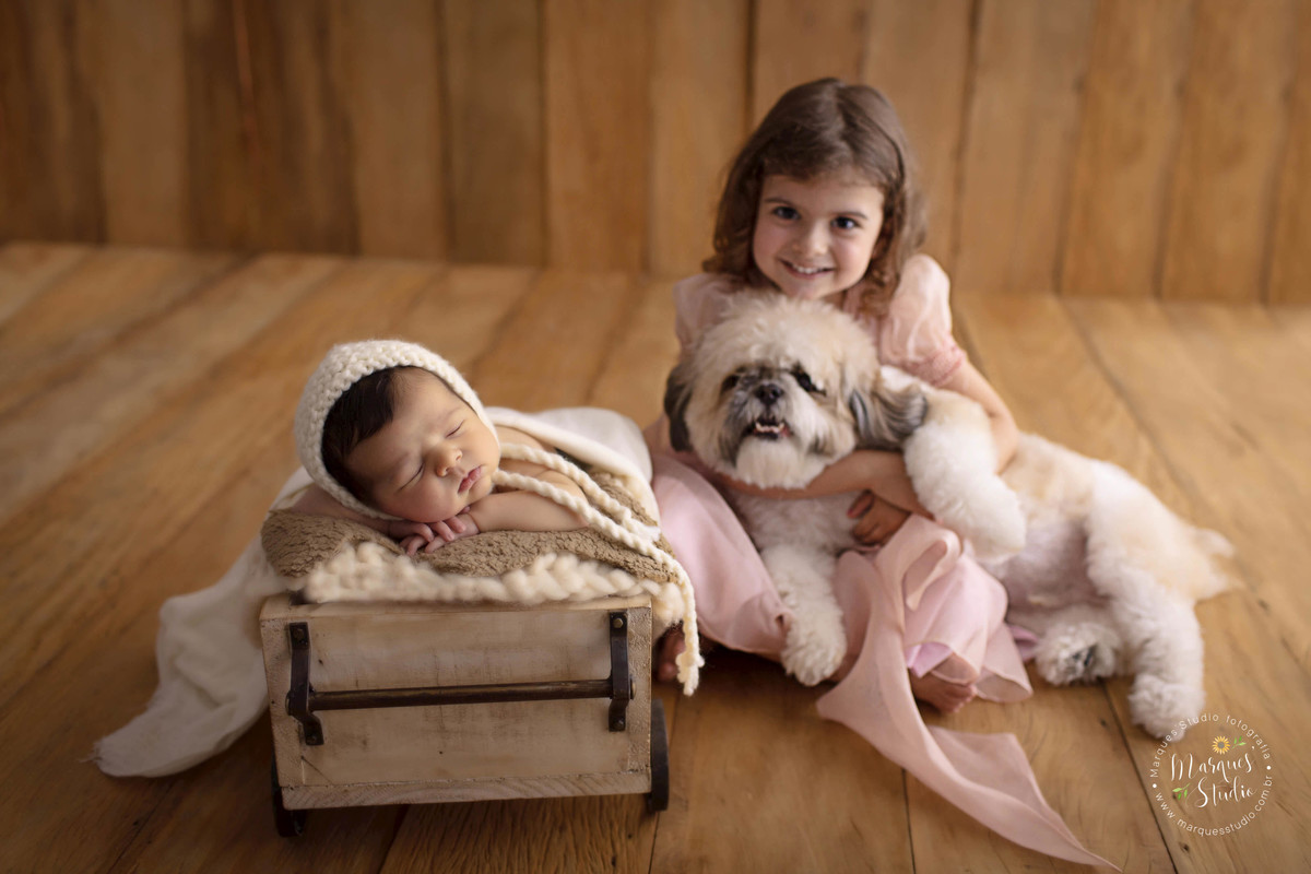 Foto feita no ensaio newborn do Thomas, ele está deitado e dormindo em um vagãozinho, ao seu lado está a irmã mais velha abraçando o lindo cachorrinho da família, ela está dando um lindo sorriso, e eles estão no studio na Av. Paulista, São Paulo, SP.