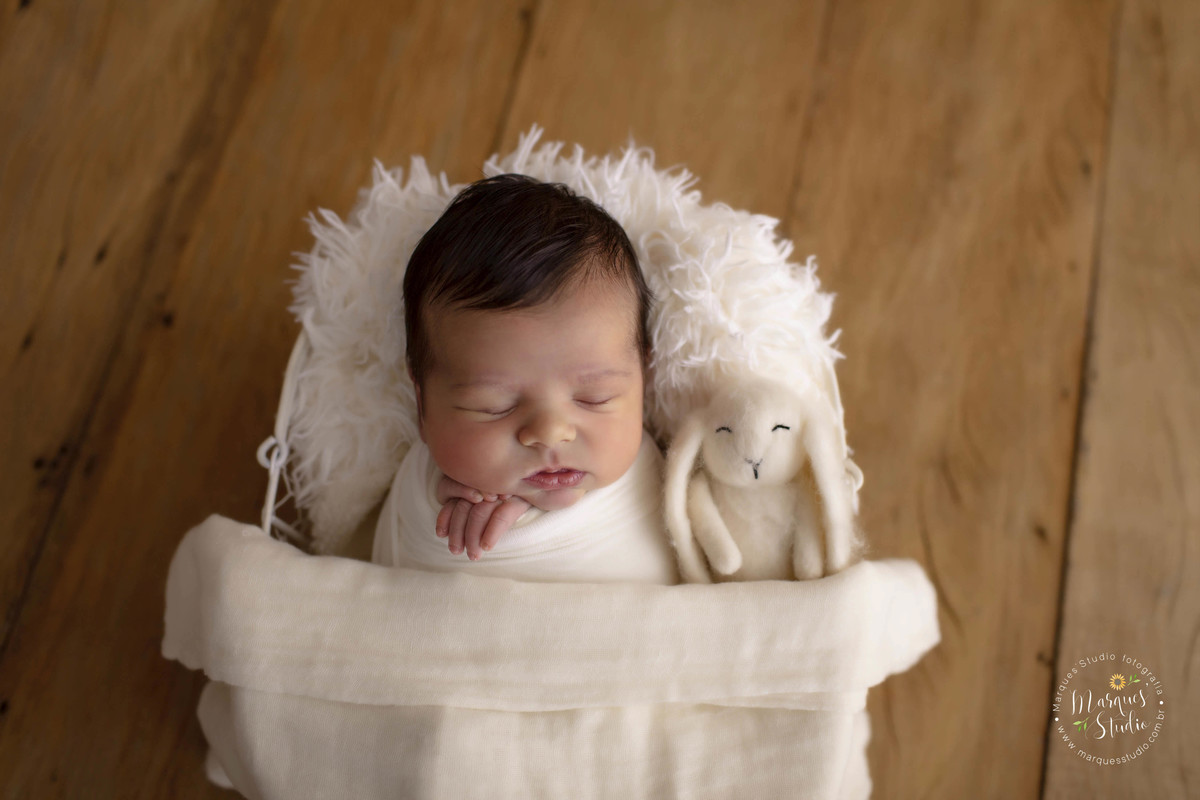 Ensaio newborn feito no nosso studio na zona Oeste, Perdizes, São Paulo, SP. Bebê no wrap, de barriga pra cima e com bichinho de pelúcia ao seu lado, ele está deitado e dormindo em um lindo berço na cor branca, em um fundo fotográfico de madeira.