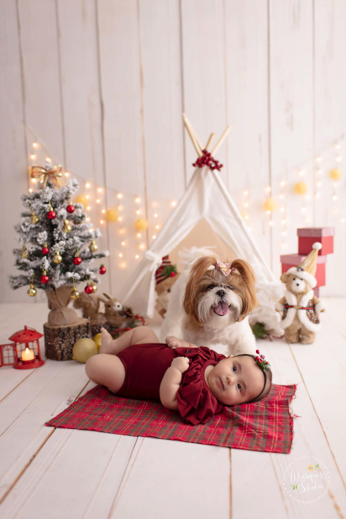 Fotografia feita em studio no Morumbi, São Paulo, SP, com uma bebê de 4 meses ela está deitada em um tapete vermelho, atras dela está seu cachorrinho, eles estão no fundo fotográfico de madeira decorado com enfeites de natal, ela usa um macacão vermelho.