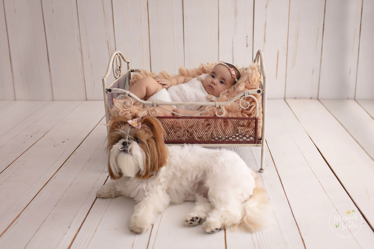 Fotografia feita em studio fotográfico na zona Sul de São Paulo, SP, com uma criança de 4 meses deitada em uma caminha branca, na sua frente está o seu pet, eles estão em um fundo fotográfico de madeira, ela usa um lindo macacão de crochê branco.