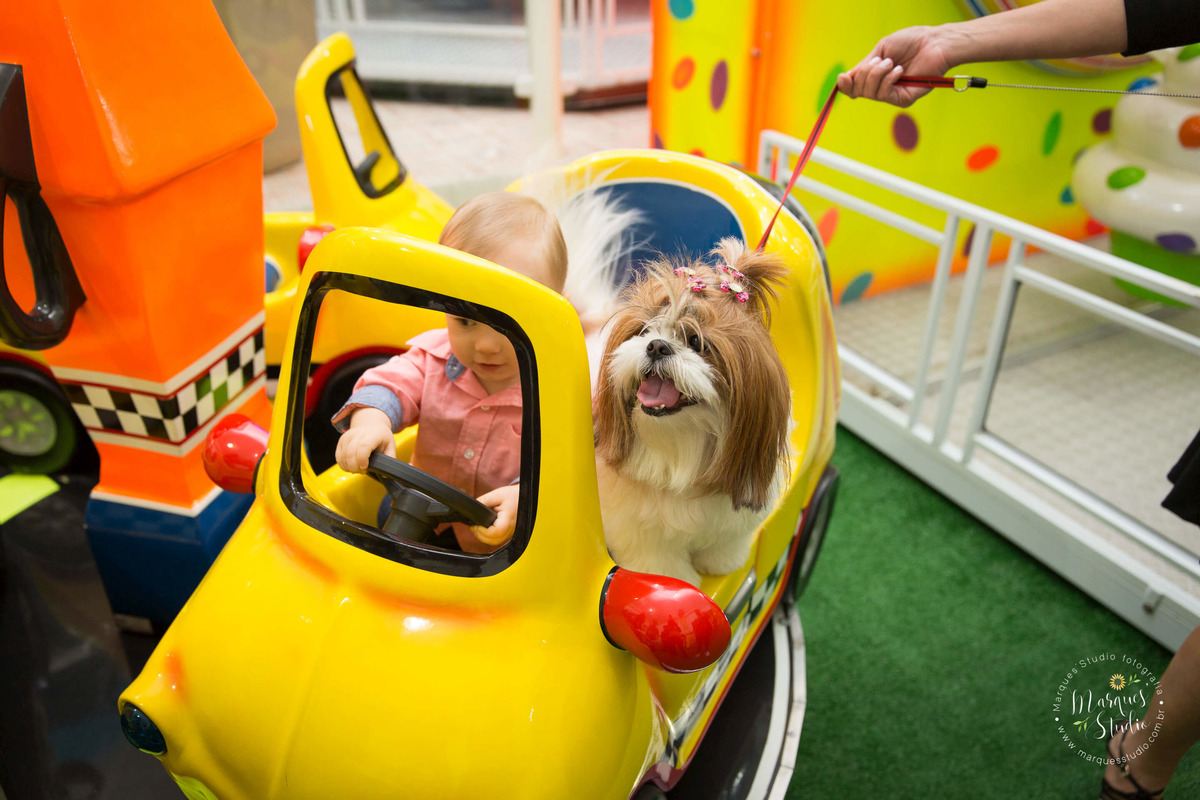 Foto feita no aniversário do Benjamin de 1 ano. No salão de festas que fica localizado em Pinheiros - São Paulo, SP. Na foto o aniversariante está brincando com a sua cachorrinha em um carrinho amarelo.