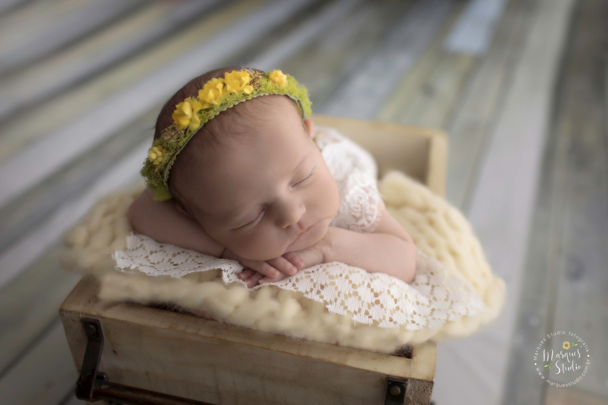 Fotografia tirada em studio localizado em Sumaré - São Paulo, SP. Na foto a bebê está deitada em uma carroagem de madeira, usando uma linda tiara amarela com o fundo fotográfico de madeira.  