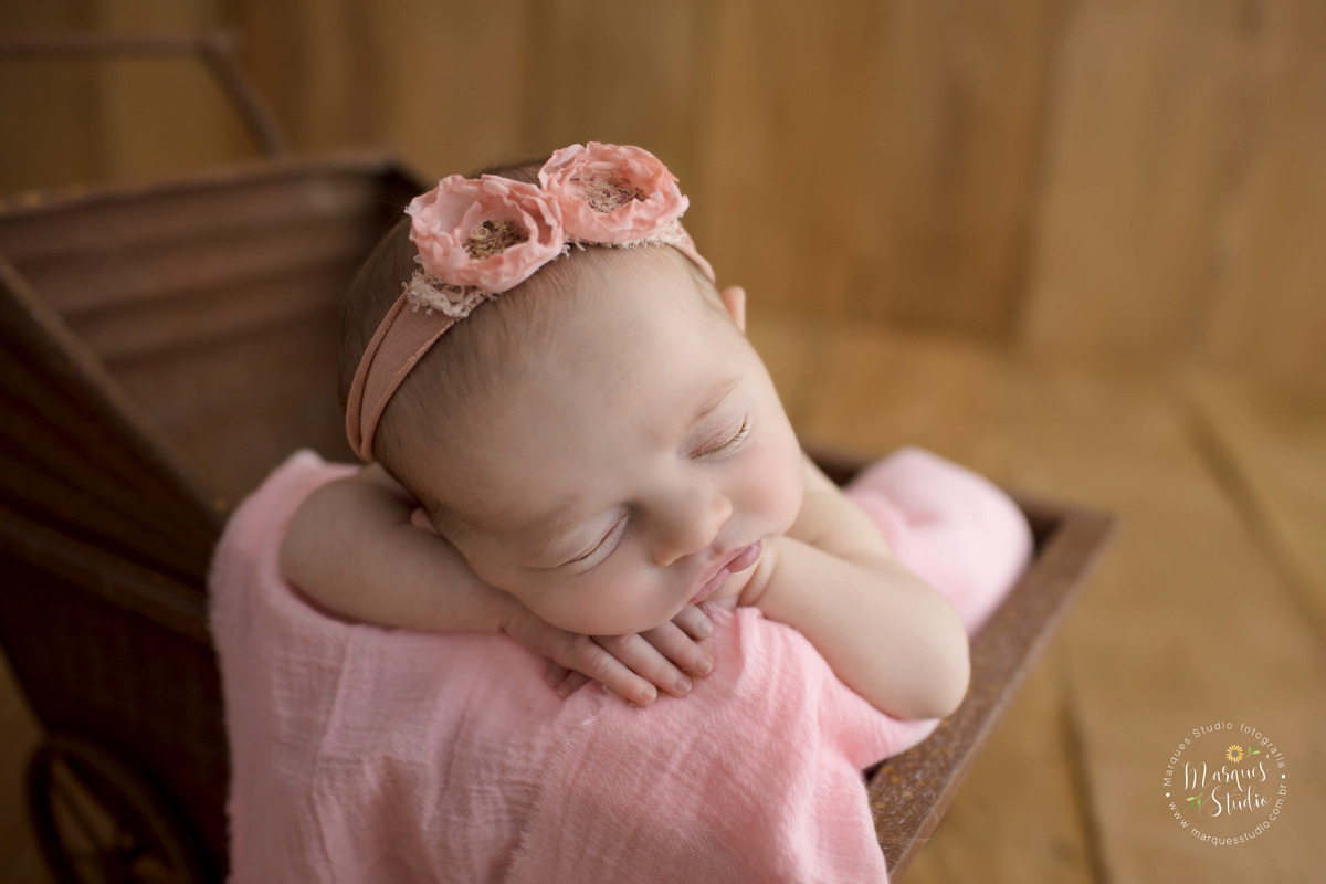 Foto feita em studio localizado no Morumbi - São Paulo, SP. Na foto a bebê está deitada em um carrinho de ferro com um tecido rosa e flores na cabeça.