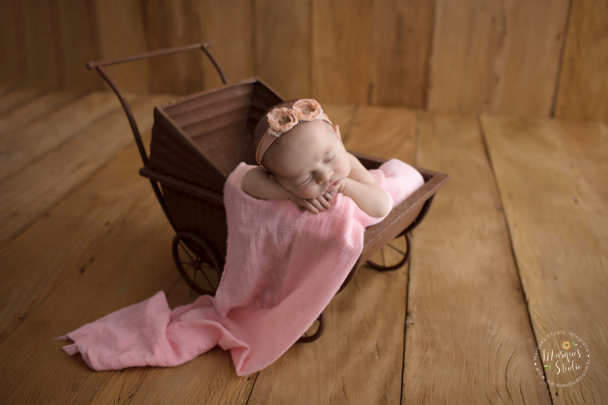 Foto feita em studio localizado na Zona Sul de São Paulo, SP. Na foto a bebê está deitada em um carrinho de ferro com um tecido rosa e flores na cabeça.