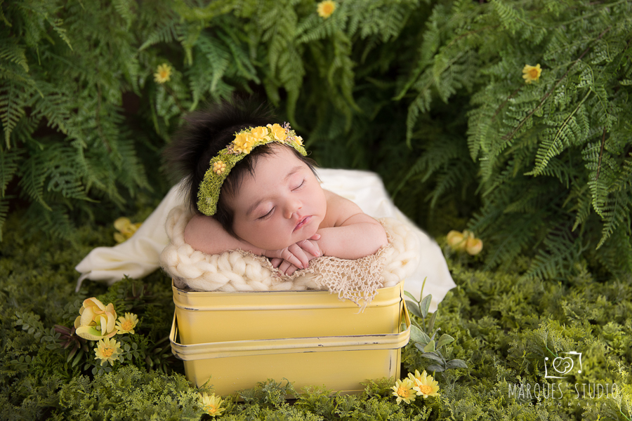 ensaio newborn de menina no jardim com flores amarelas