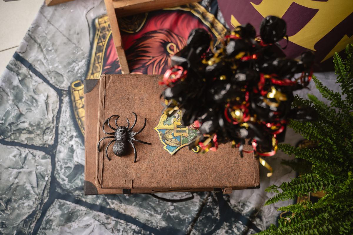 aniversário - festa infantil - harry portter