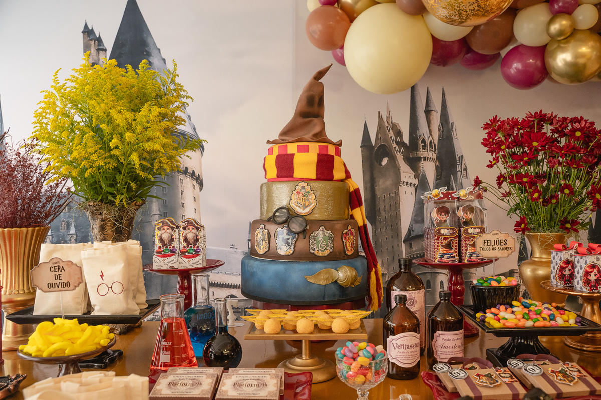 aniversário - festa infantil - harry portter