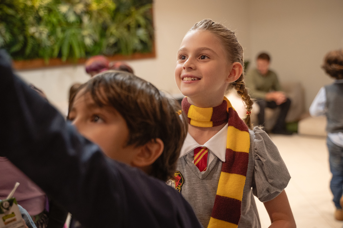 aniversário - festa infantil - harry portter