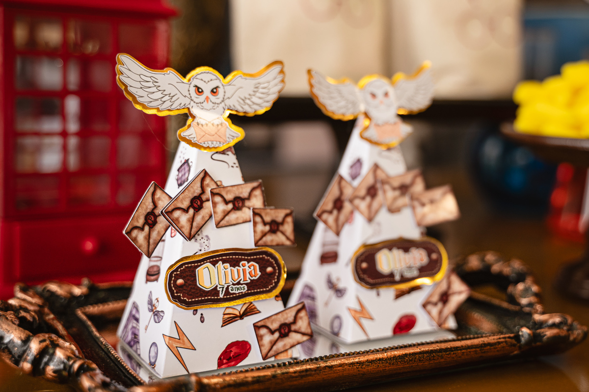 aniversário - festa infantil - harry portter